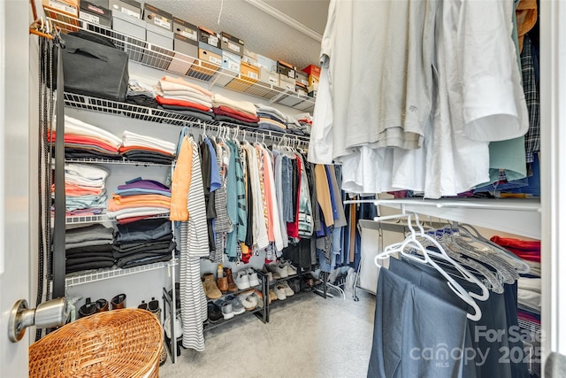 view of walk in closet