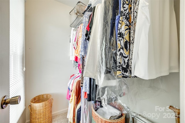 spacious closet with carpet floors