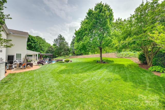 view of yard featuring a patio area