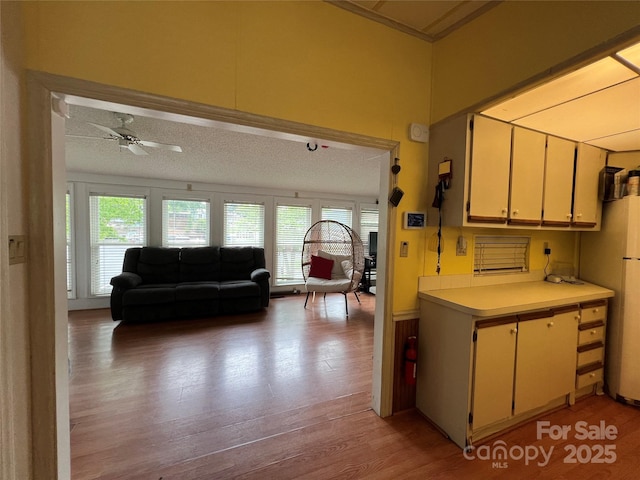 kitchen with a ceiling fan, a textured ceiling, light wood-type flooring, light countertops, and open floor plan