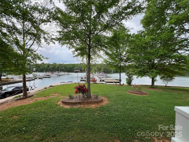 view of yard with a water view and a boat dock