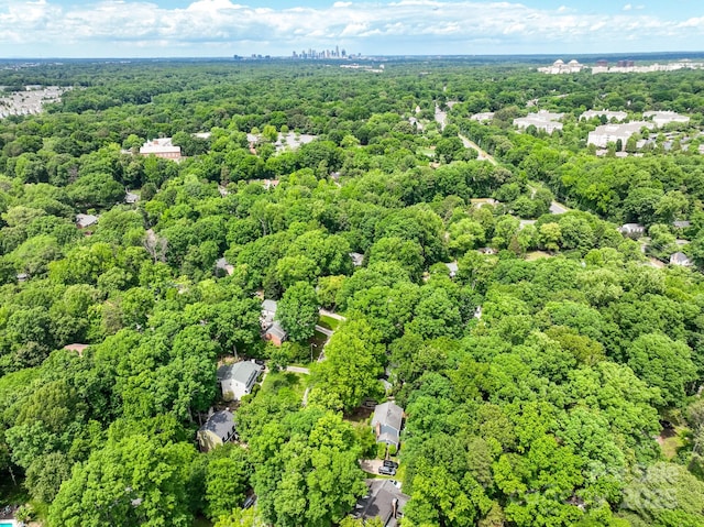 bird's eye view of a forest