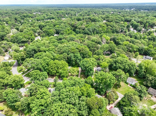 aerial view of a forest