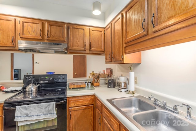 33 Ravencroft Ln Unit E33, Asheville, NC 28803 - kitchen with black / electric stove, under cabinet range hood, a sink, light countertops, and brown cabinets