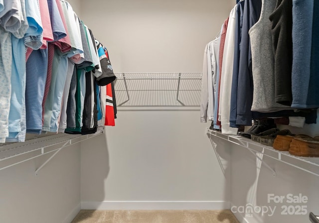 spacious closet featuring carpet floors
