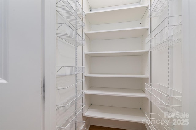 14119 Shelburne Village Dr, Charlotte, NC 28278 - view of walk in closet