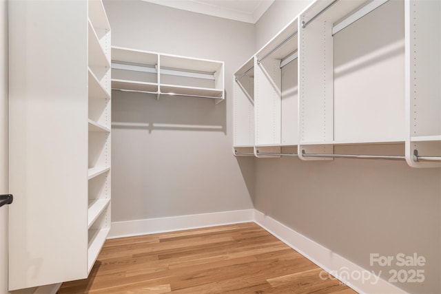 14119 Shelburne Village Dr, Charlotte, NC 28278 - walk in closet featuring wood finished floors