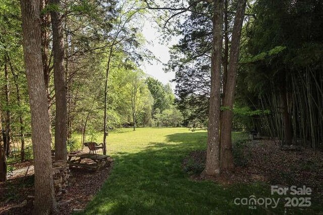 8903 New Town Rd, Waxhaw, NC 28173 - photo 14