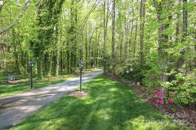 8903 New Town Rd, Waxhaw, NC 28173 - photo 19