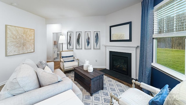 living area featuring a glass covered fireplace, baseboards, and wood finished floors