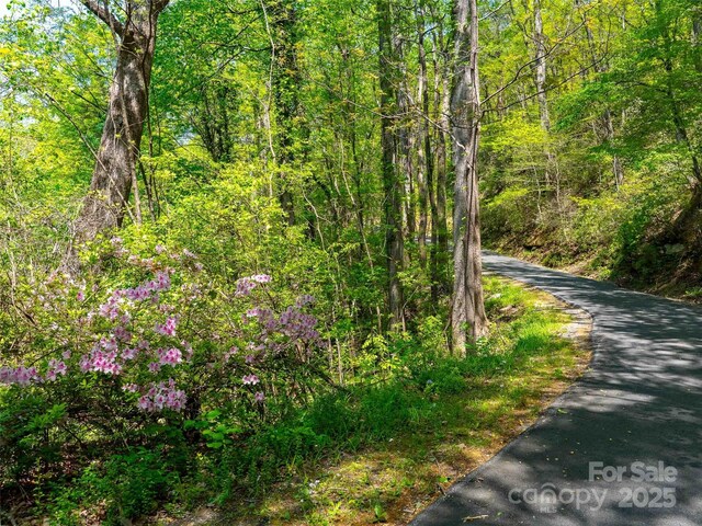 147 Sidney Lanier Dr, Lake Lure, NC 28746 - photo 4