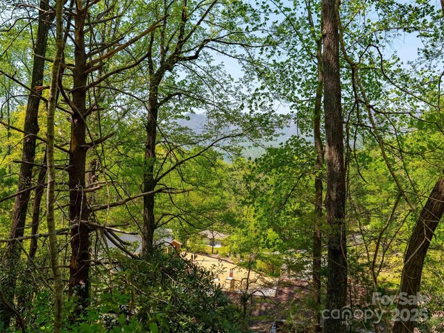 147 Sidney Lanier Dr, Lake Lure, NC 28746 - photo 5
