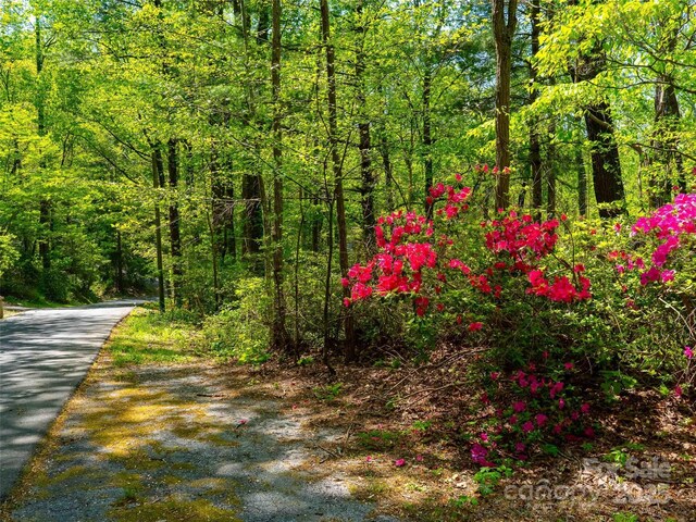 147 Sidney Lanier Dr, Lake Lure, NC 28746 - photo 7