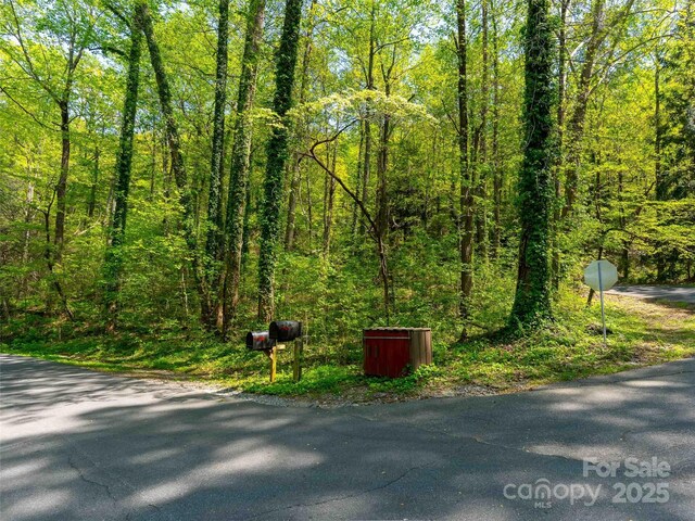 147 Sidney Lanier Dr, Lake Lure, NC 28746 - photo 15