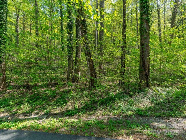 147 Sidney Lanier Dr, Lake Lure, NC 28746 - photo 17