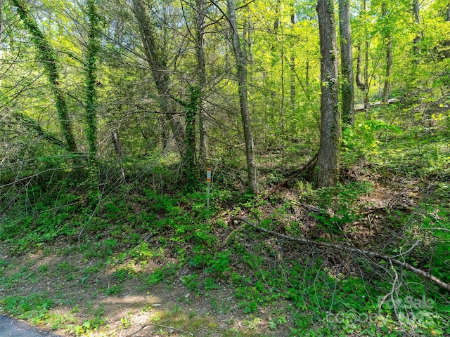 147 Sidney Lanier Dr, Lake Lure, NC 28746 - photo 18