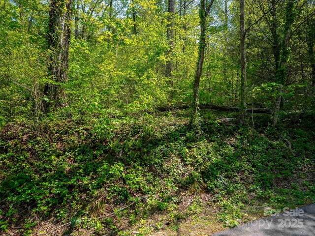 147 Sidney Lanier Dr, Lake Lure, NC 28746 - photo 19