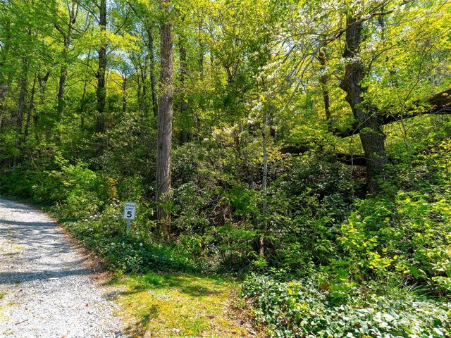 147 Sidney Lanier Dr, Lake Lure, NC 28746 - photo 20