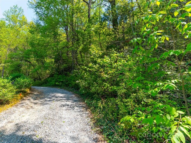 147 Sidney Lanier Dr, Lake Lure, NC 28746 - photo 21