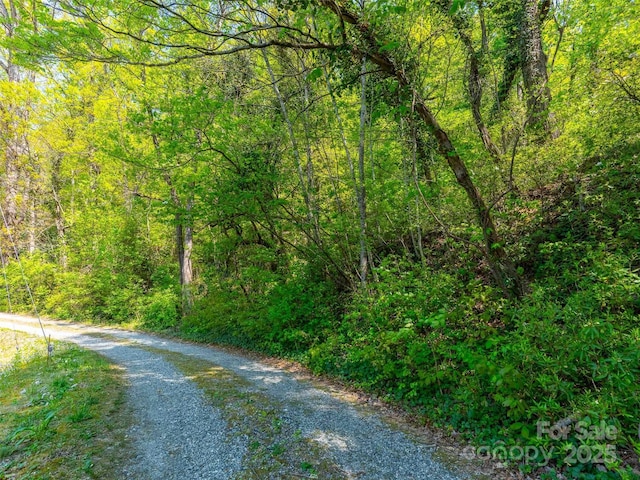 147 Sidney Lanier Dr, Lake Lure, NC 28746 - photo 22