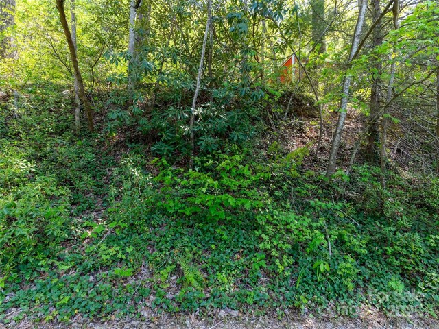 147 Sidney Lanier Dr, Lake Lure, NC 28746 - photo 23