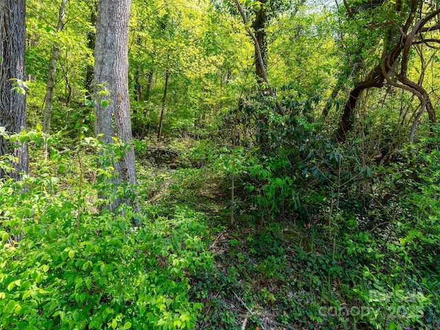 147 Sidney Lanier Dr, Lake Lure, NC 28746 - photo 24