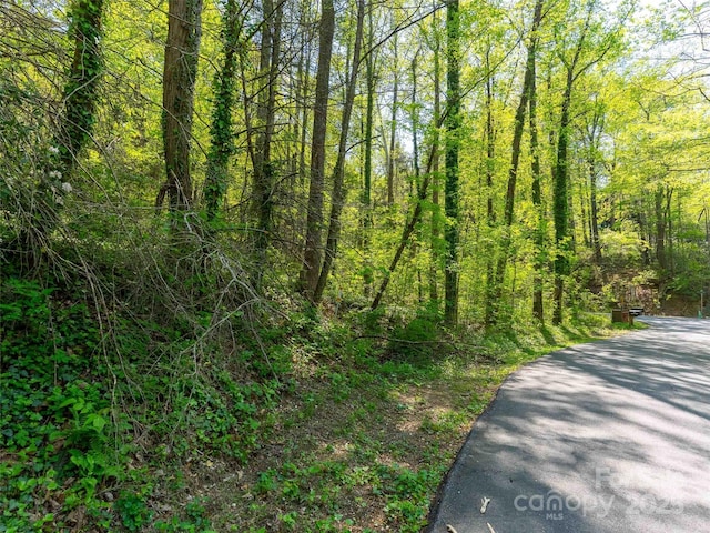 147 Sidney Lanier Dr, Lake Lure, NC 28746 - photo 25