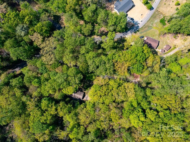 147 Sidney Lanier Dr, Lake Lure, NC 28746 - photo 26