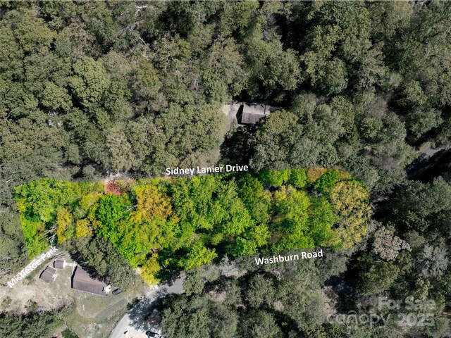 147 Sidney Lanier Dr, Lake Lure, NC 28746 - photo 27
