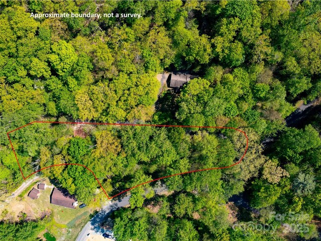147 Sidney Lanier Dr, Lake Lure, NC 28746 - photo 28