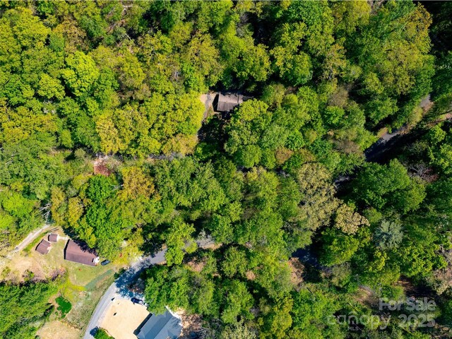 147 Sidney Lanier Dr, Lake Lure, NC 28746 - photo 30
