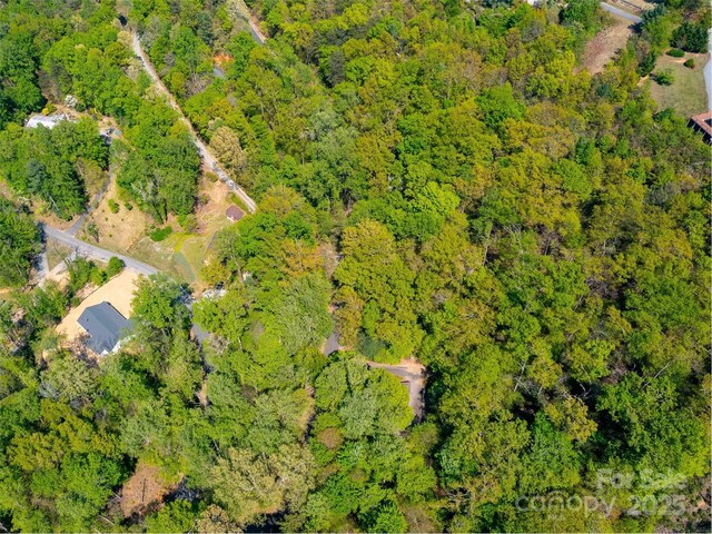 147 Sidney Lanier Dr, Lake Lure, NC 28746 - photo 31