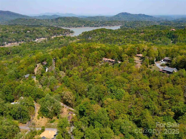 147 Sidney Lanier Dr, Lake Lure, NC 28746 - photo 32