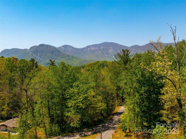 147 Sidney Lanier Dr, Lake Lure, NC 28746 - photo 33