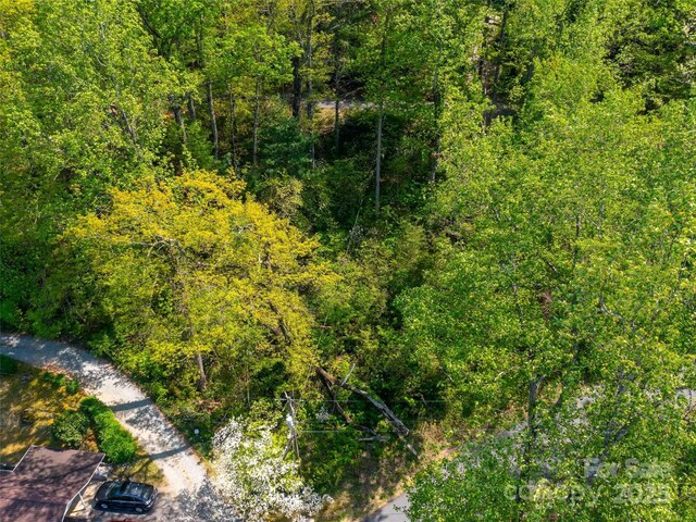 147 Sidney Lanier Dr, Lake Lure, NC 28746 - photo 35