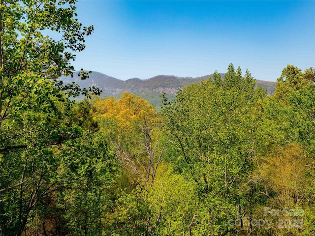 147 Sidney Lanier Dr, Lake Lure, NC 28746 - photo 36