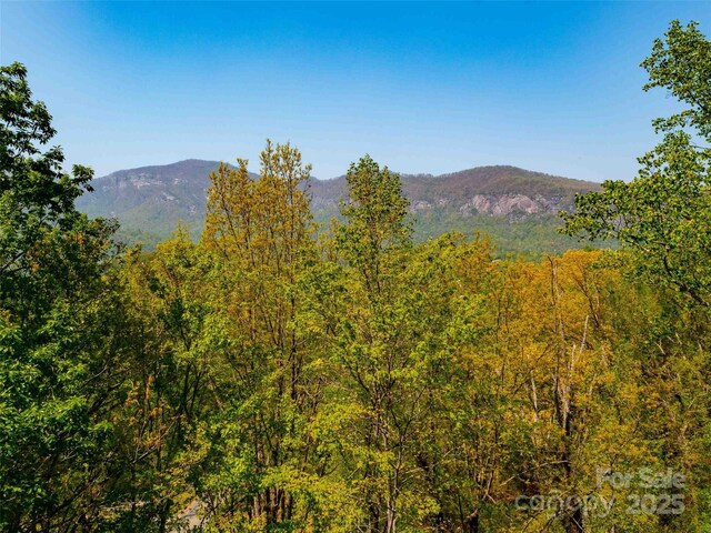 147 Sidney Lanier Dr, Lake Lure, NC 28746 - photo 37