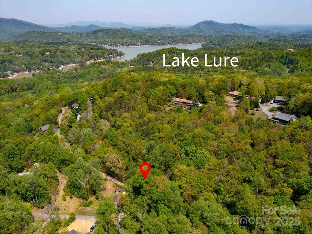 147 Sidney Lanier Dr, Lake Lure, NC 28746 - photo 38