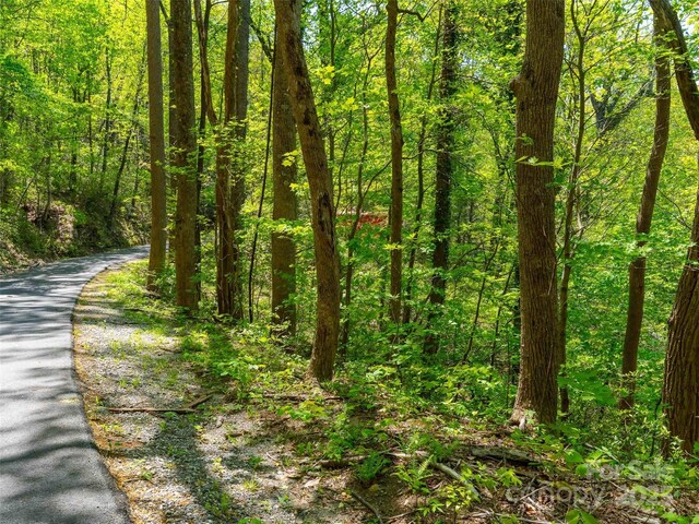 147 Sidney Lanier Dr, Lake Lure, NC 28746 - photo 3
