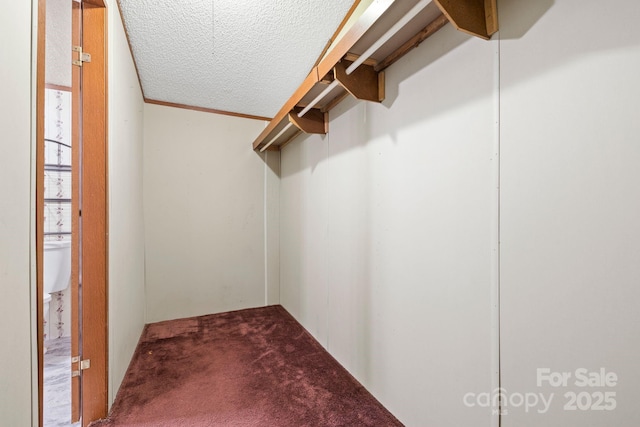 3317 Treyburn Dr, Midland, NC 28107 - walk in closet featuring carpet