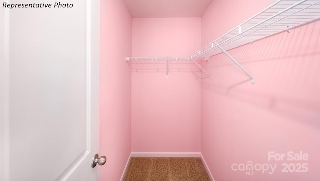spacious closet with carpet floors