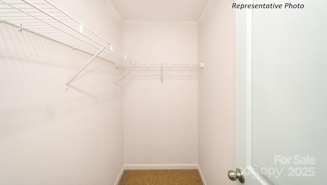 walk in closet with carpet floors