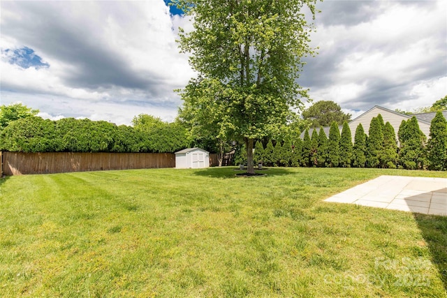 view of yard featuring a storage shed, an outdoor structure, and a patio area