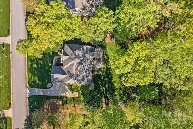 drone / aerial view