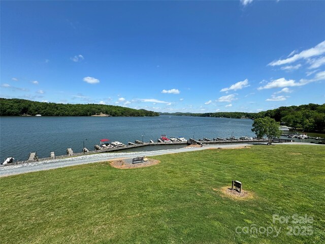 204 Millwheel Ln, Mount Gilead, NC 27306 - water view with a boat dock