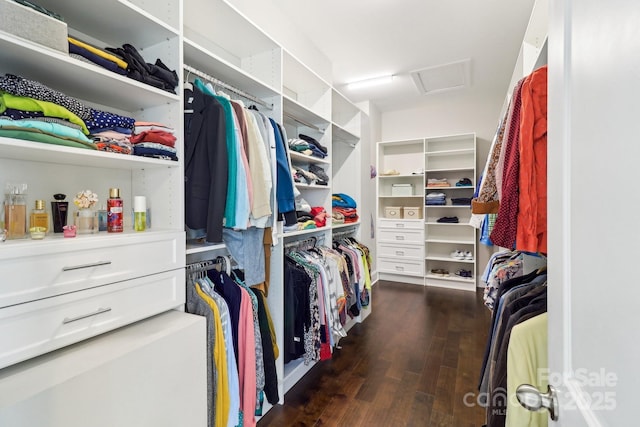 1004 Princesa Dr, Matthews, NC 28104 - spacious closet with attic access and dark wood finished floors