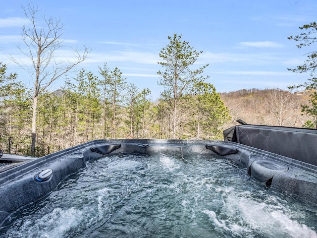 details with a hot tub and a view of trees