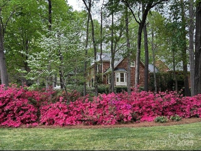 3804 Bellingham Ln, Charlotte, NC 28215 - view of front of property with a front lawn
