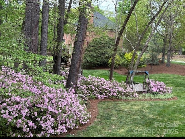 3804 Bellingham Ln, Charlotte, NC 28215 - view of grassy yard