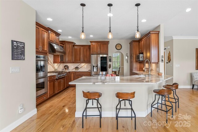 kitchen featuring a peninsula, under cabinet range hood, a sink, light wood-style flooring, and stainless steel appliances
